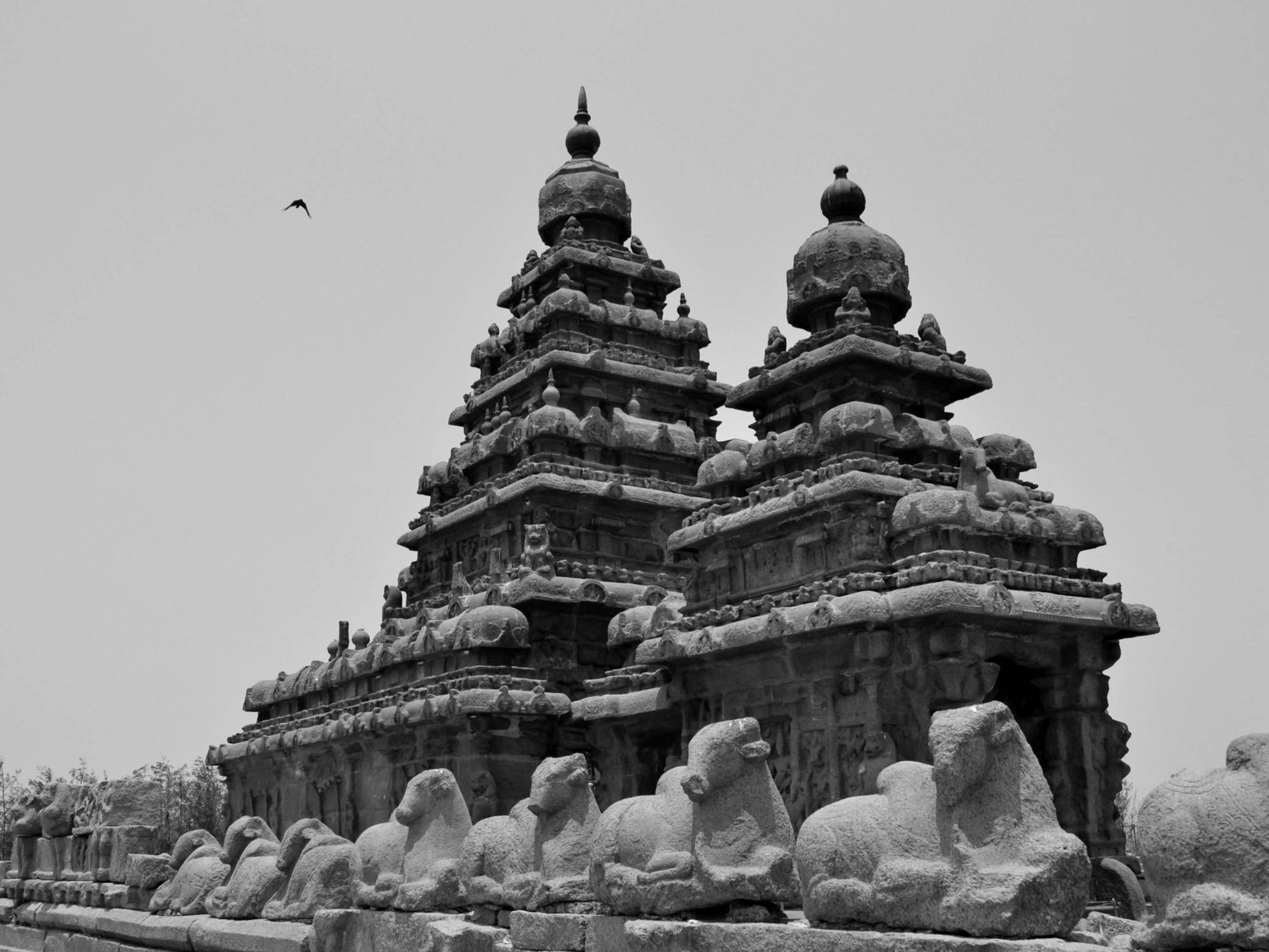 Sea Breeze Beach Resort Mahabalipuram Bagian luar foto
